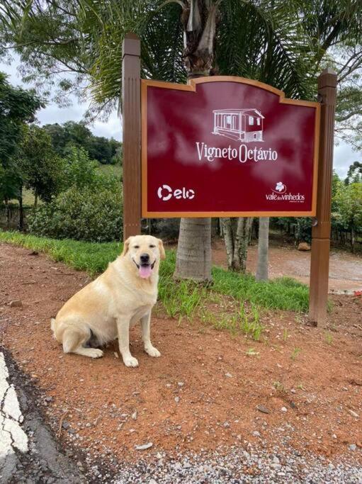 Casa Vigneto Octávio no Vale dos Vinhedos Vila Bento Gonçalves Exterior foto