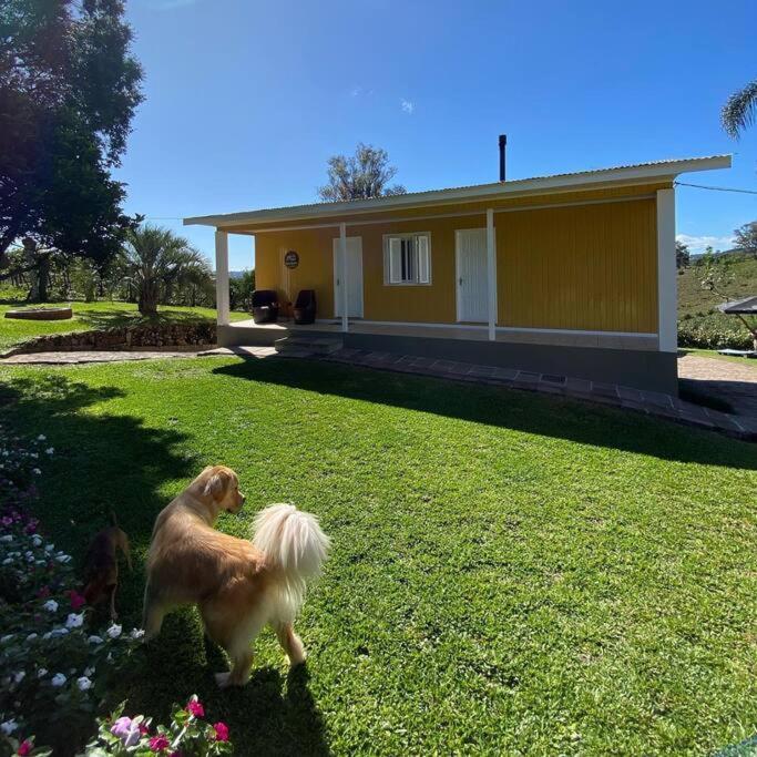 Casa Vigneto Octávio no Vale dos Vinhedos Vila Bento Gonçalves Exterior foto