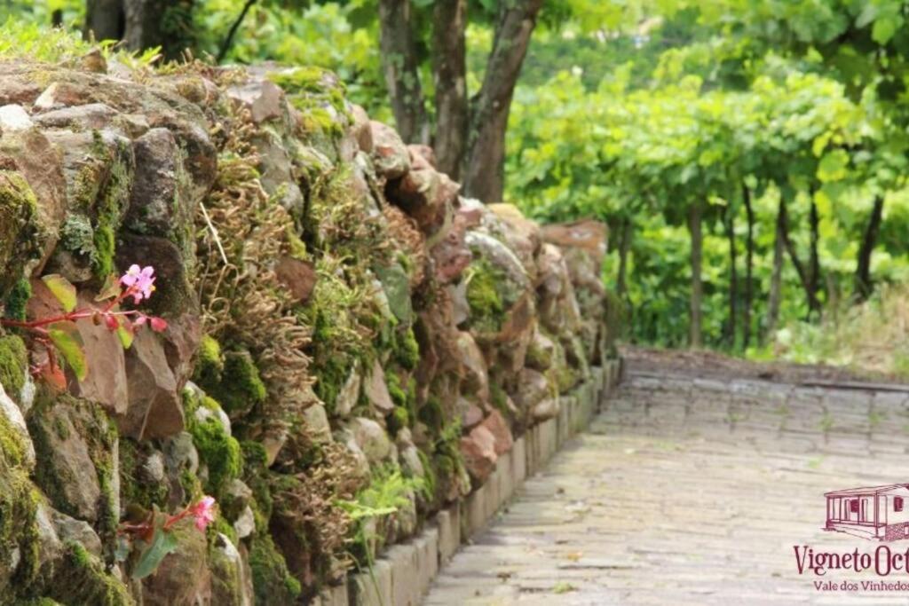 Casa Vigneto Octávio no Vale dos Vinhedos Vila Bento Gonçalves Exterior foto